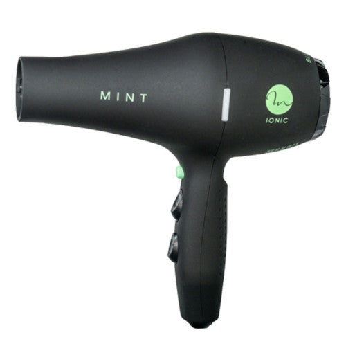 Mint Black Bird Ionic Dryer