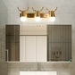 Deyidn Mirror Lights Bathroom Vanity Wall Light